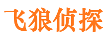 涉县市私人侦探